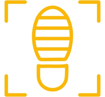 Low-code platform in the SAP ecosystem